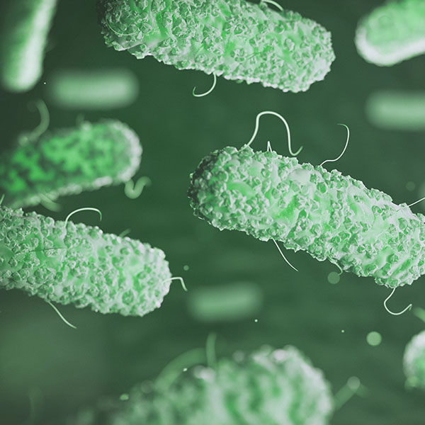 La legionella Ilab di Angelo Rusconi